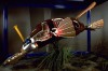 The Robot Zoo, expozitia interactiva a animalelor robotizate
